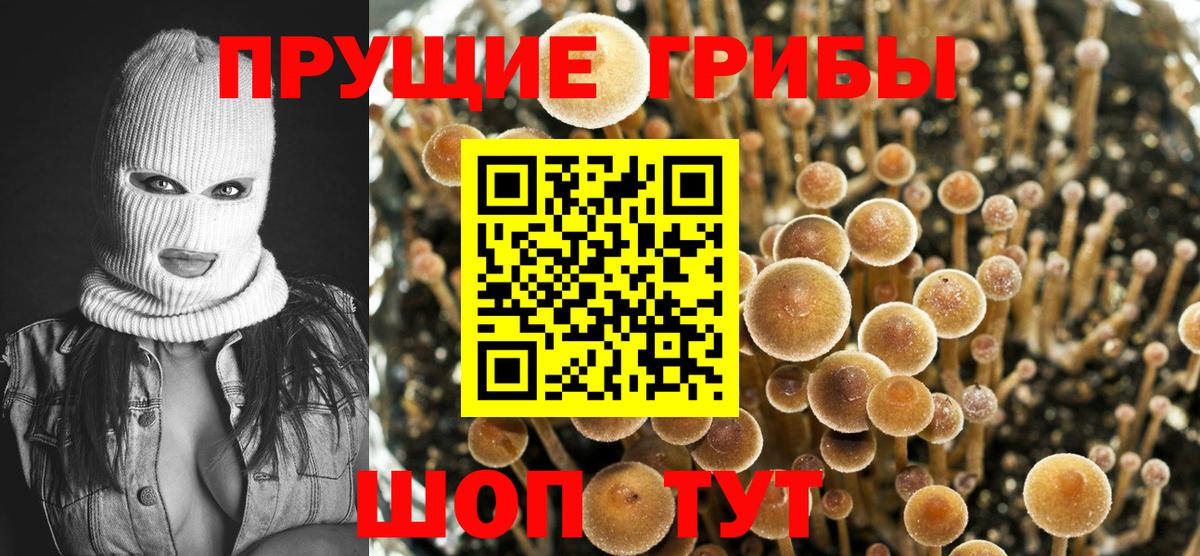 Алейск  Галлюциногенные грибы GOLDEN TEACHER  Вход с VPN 